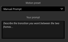Manual Prompt field in the Crazy AI Transitions plugin